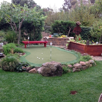 Turf Grass Belvedere, California Paver Patio, Backyard Landscaping Ideas