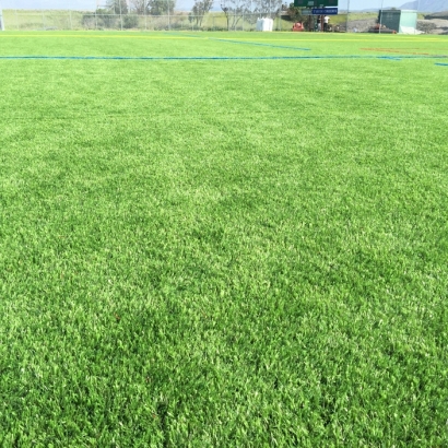 Turf Grass Castroville, California Stadium