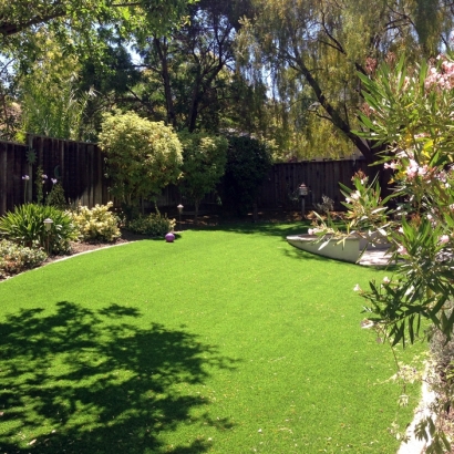 Turf Grass Half Moon Bay, California Lawn And Landscape, Small Backyard Ideas