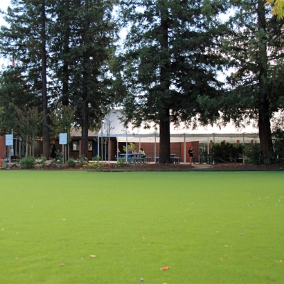 Turf Grass Sunnyvale, California Lawn And Landscape, Parks