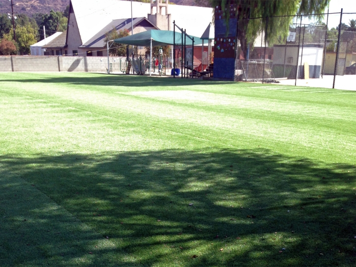 Artificial Grass Carpet Alamo, California Landscape Ideas, Parks