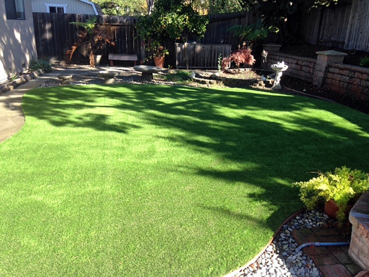 Artificial Grass Carpet Clay, California Lawns, Backyard Landscaping Ideas