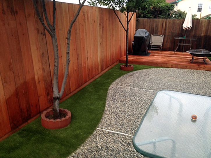 Artificial Grass Carpet Patterson, California Backyard Deck Ideas, Backyard Design