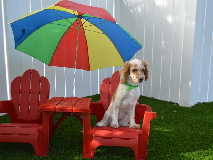 Artificial Grass Copperopolis, California Dog Parks, Dog Kennels