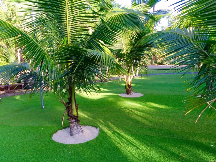 Artificial Grass Folsom, California Gardeners, Commercial Landscape