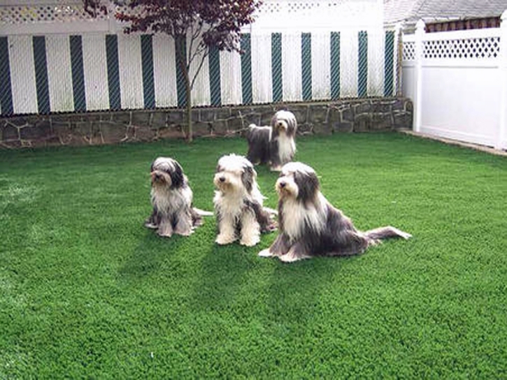 Artificial Grass Installation Caruthers, California Landscape Rock, Backyard Makeover