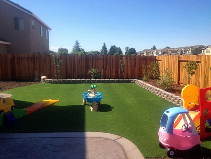 Artificial Grass Vallejo, California Landscape Photos, Backyard Landscaping