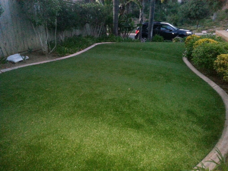 Artificial Lawn Loomis, California Home And Garden, Small Front Yard Landscaping