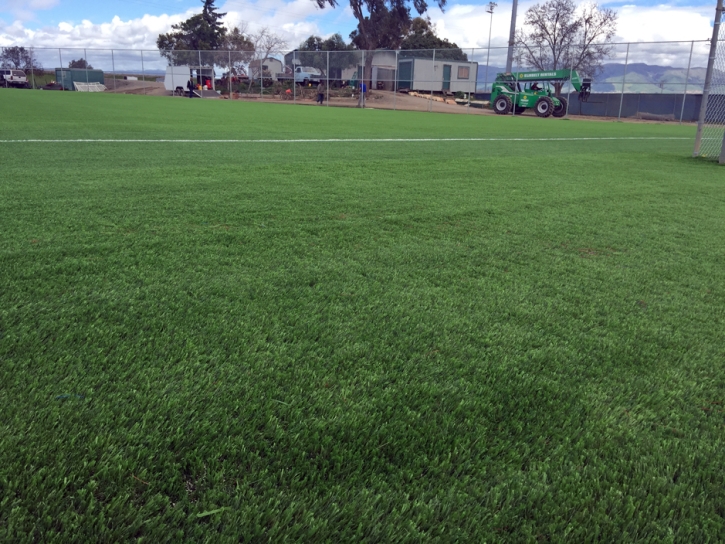Artificial Lawn Middletown, California Softball
