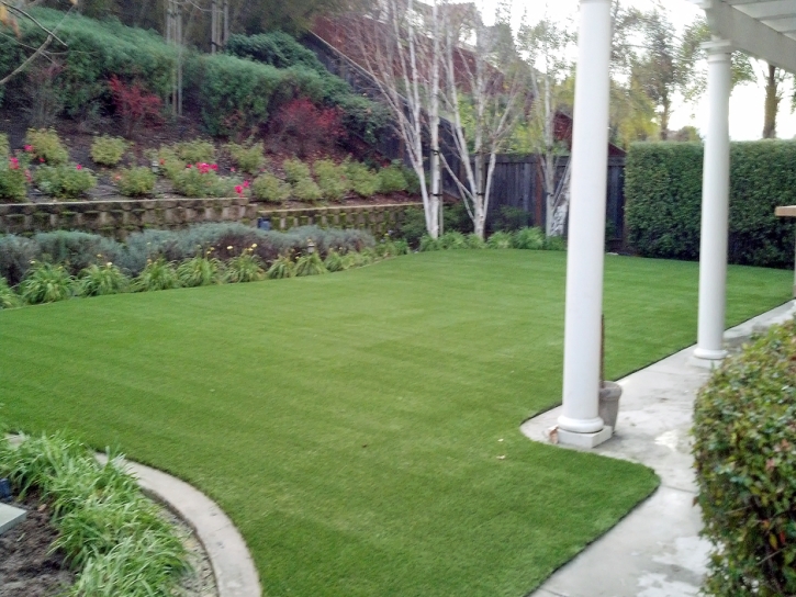 Artificial Lawn Prunedale, California Garden Ideas, Backyard Makeover