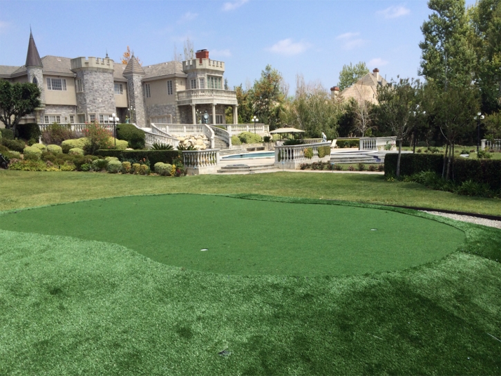 Artificial Turf Cost Alamo, California Lawns, Front Yard Design