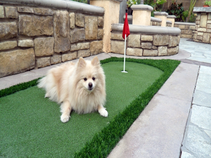 Artificial Turf Cost Bret Harte, California Landscape Rock, Backyard Landscaping Ideas