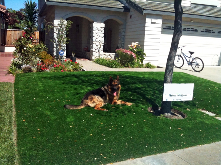 Artificial Turf Cost Pleasant Hill, California Landscape Ideas, Small Front Yard Landscaping