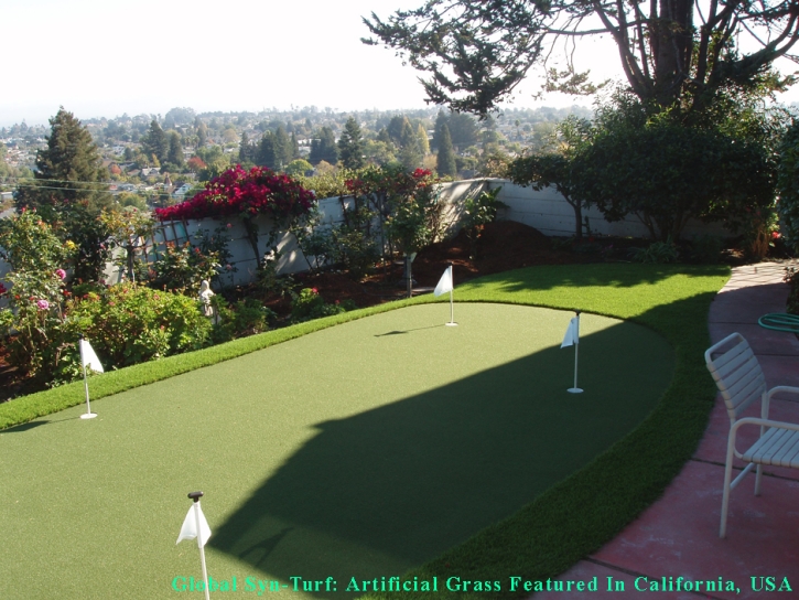 Artificial Turf Cost San Leandro, California Landscape Ideas, Backyard Designs