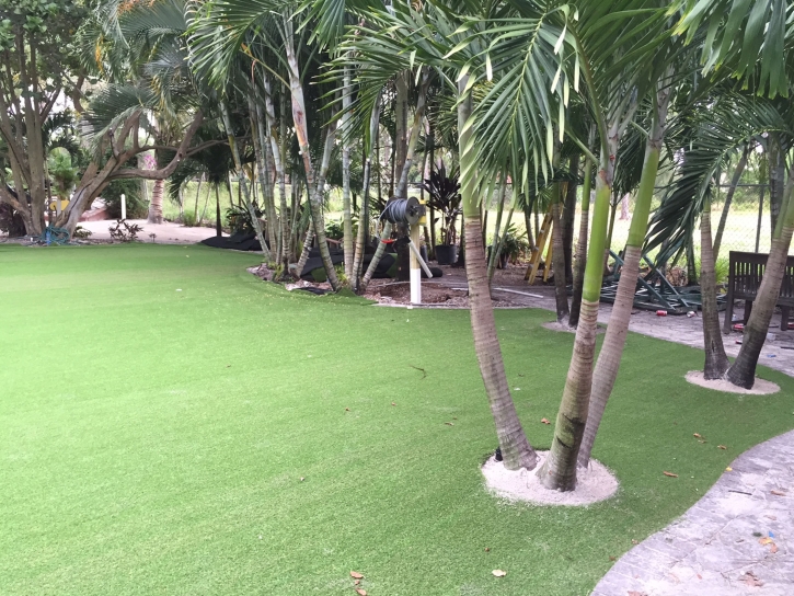 Artificial Turf Cost Soda Bay, California Paver Patio, Commercial Landscape