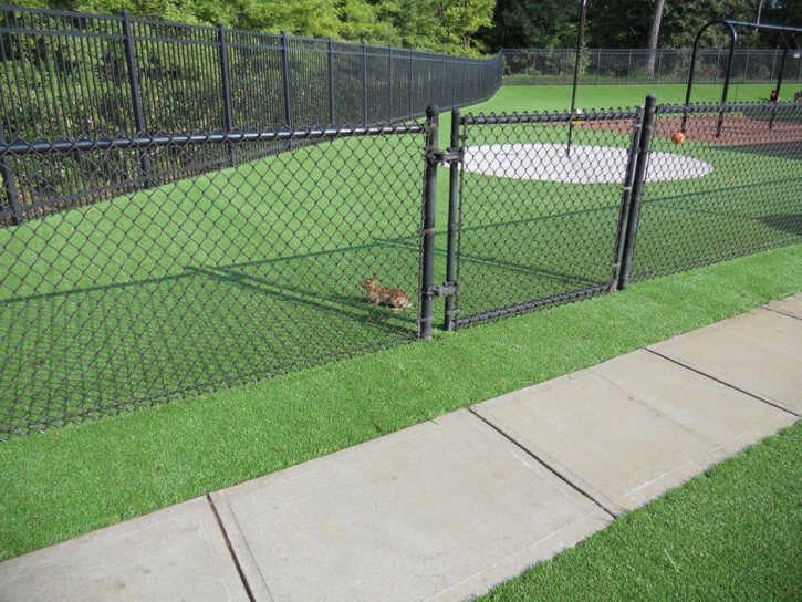 Artificial Turf Installation Lodi, California Garden Ideas, Recreational Areas