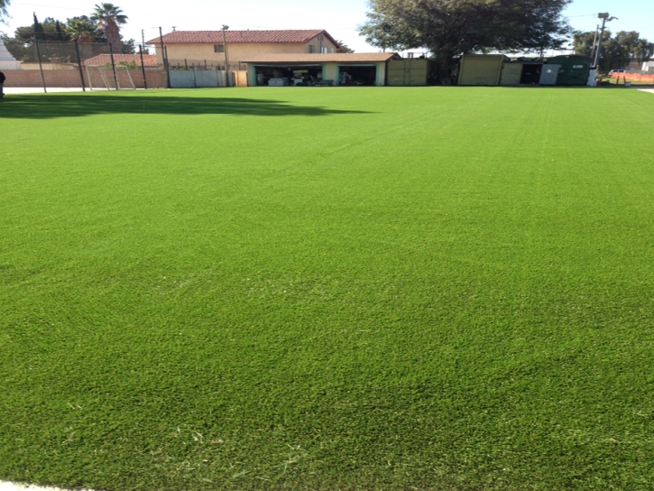 Artificial Turf Installation Montara, California Design Ideas, Parks
