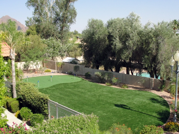 Best Artificial Grass Aptos, California Putting Green Flags, Small Backyard Ideas