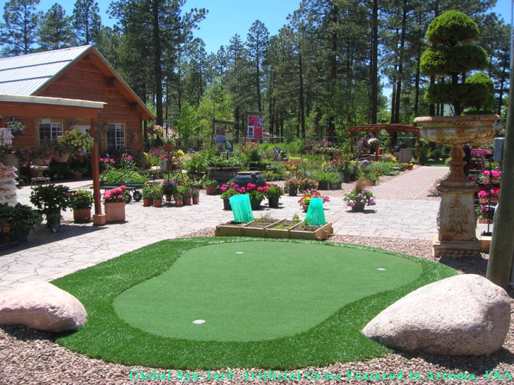 Best Artificial Grass Emeryville, California Golf Green, Beautiful Backyards