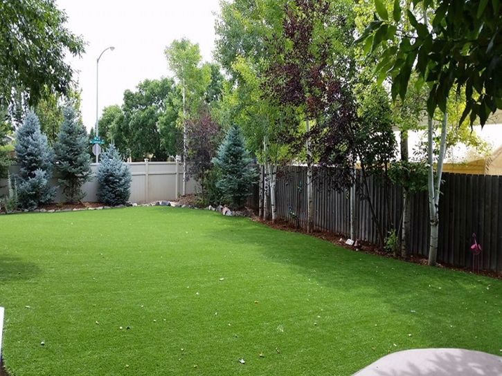 Best Artificial Grass Morada, California Dog Hospital, Backyard Designs