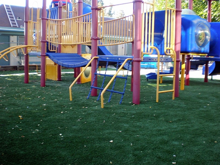 Fake Grass Cambrian Park, California Playground Safety, Commercial Landscape