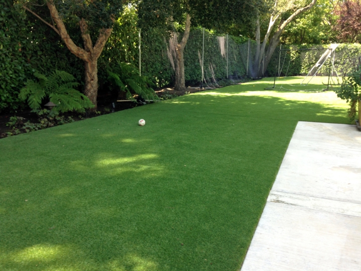 Fake Grass Carpet Cambria, California Backyard Playground