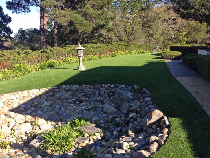 Fake Grass Emeryville, California Landscaping, Backyard Landscaping Ideas