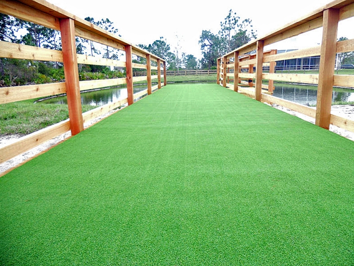 Fake Grass Portola, California Design Ideas, Commercial Landscape