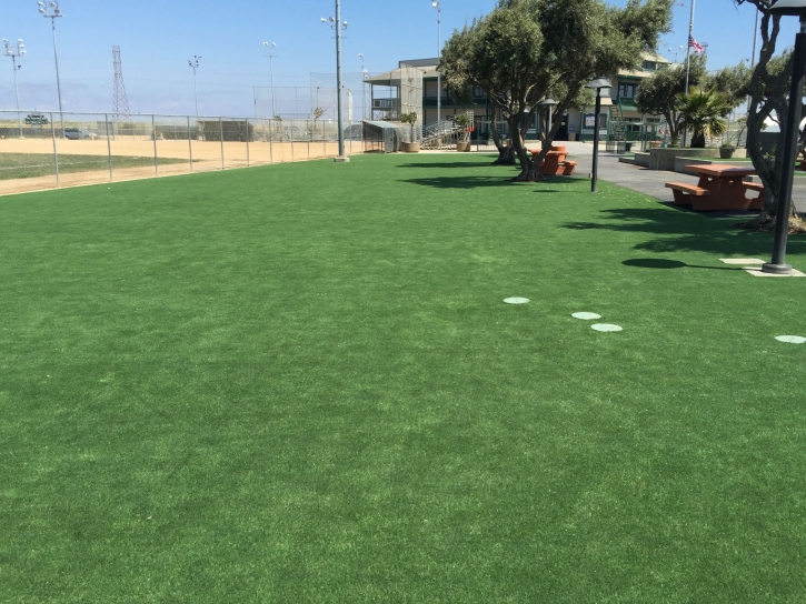 Fake Grass Sheridan, California Roof Top, Parks