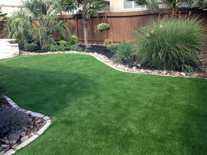 Fake Lawn Carmel-by-the-Sea, California City Landscape, Backyard Landscape Ideas