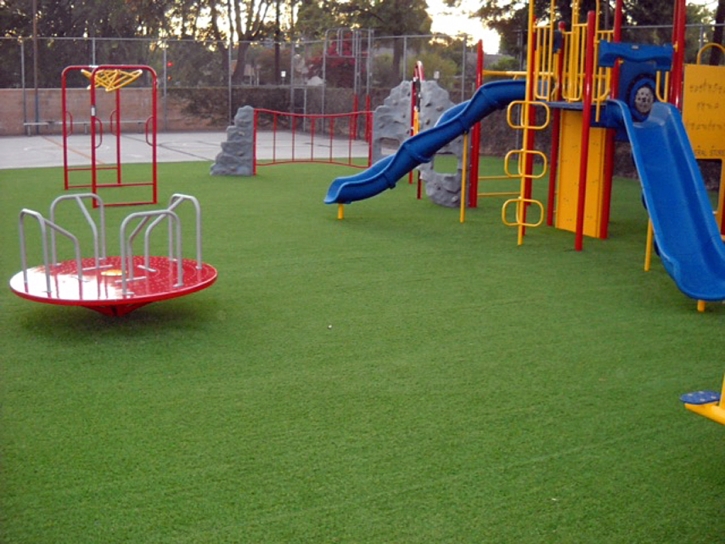 Fake Lawn Cayucos, California Upper Playground, Recreational Areas
