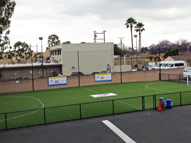 Fake Lawn Concord, California Sports Athority, Commercial Landscape