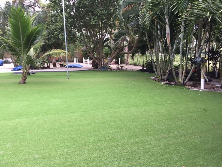 Fake Lawn Granite Bay, California Landscape Ideas, Commercial Landscape