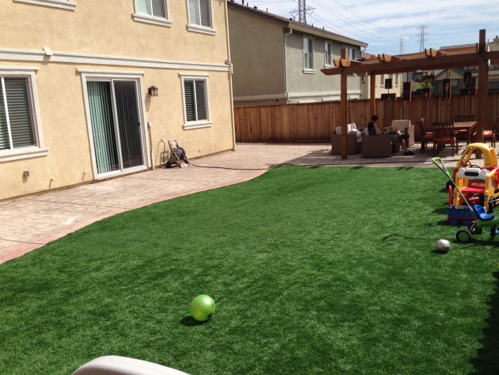 Fake Lawn Plumas Lake, California Landscaping Business, Backyards