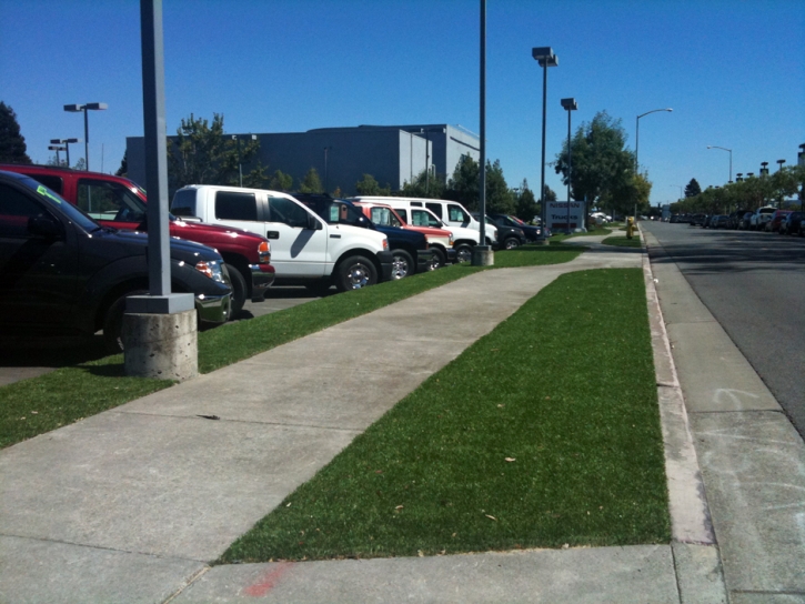 Fake Turf Crockett, California Landscaping, Commercial Landscape