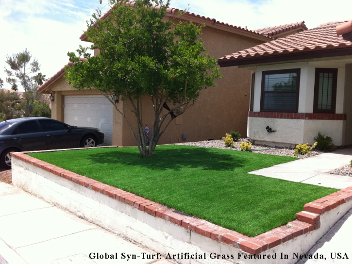 Fake Turf East Richmond Heights, California Lawns, Front Yard Ideas