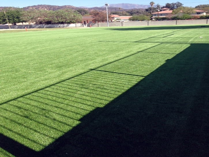 Fake Turf Emerald Lake Hills, California Design Ideas