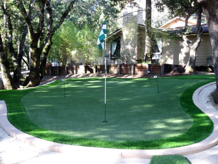 Faux Grass Auburn, California Putting Greens, Backyard