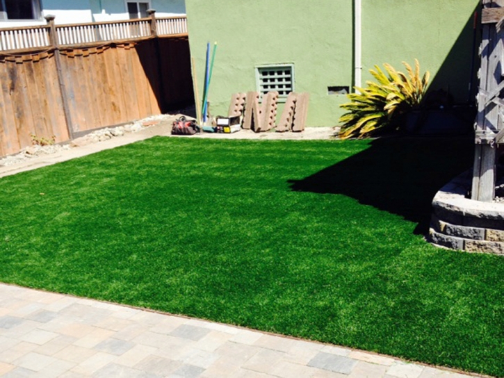 Faux Grass North Lakeport, California Gardeners, Backyard Garden Ideas