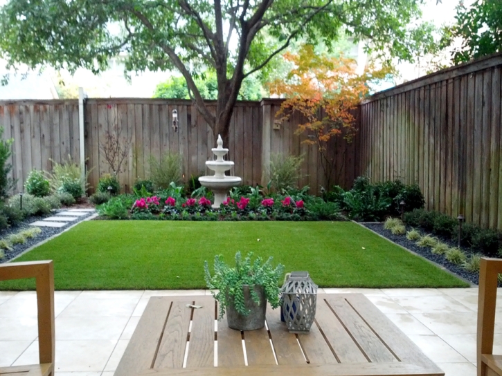 Grass Carpet Pacheco, California Landscape Design, Backyard Landscaping