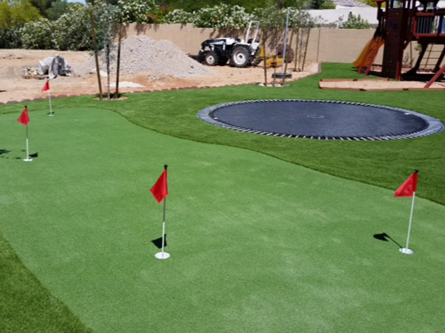 Grass Carpet Shingle Springs, California Outdoor Putting Green, Backyard Landscaping Ideas