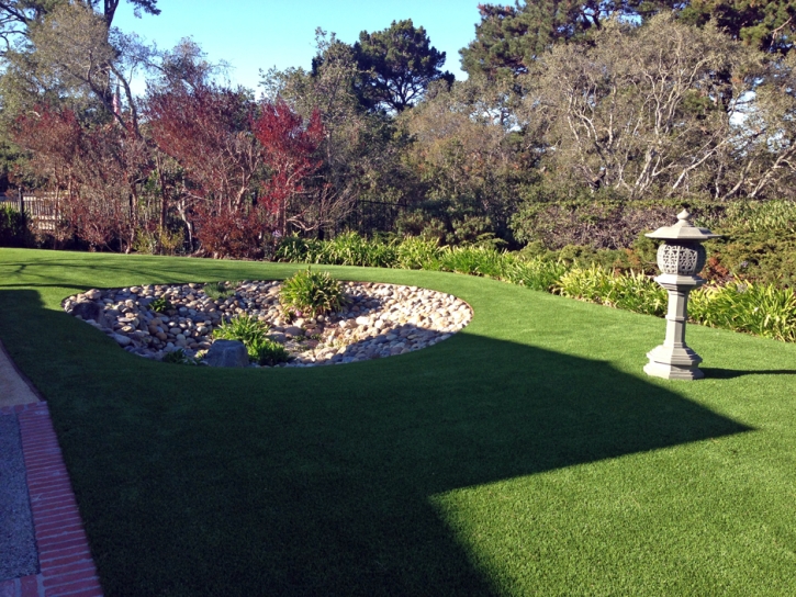 Grass Installation Broadmoor, California Roof Top, Backyard Landscaping