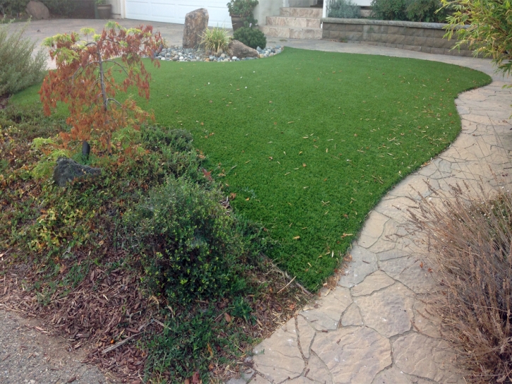 Grass Installation El Verano, California Hotel For Dogs, Small Backyard Ideas