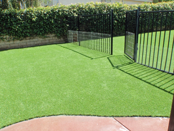 Grass Installation Laguna, California Cat Grass, Front Yard Landscape Ideas