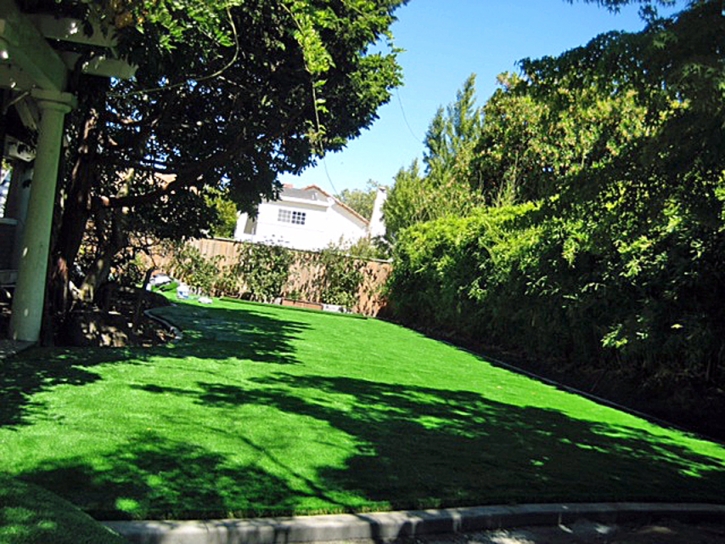 Grass Installation San Rafael, California Landscape Photos, Backyard Landscape Ideas