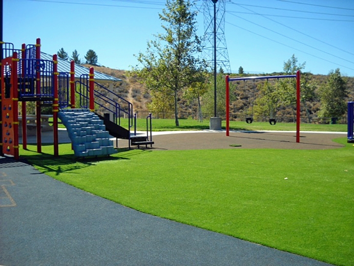 Grass Turf Atherton, California Kids Indoor Playground, Parks
