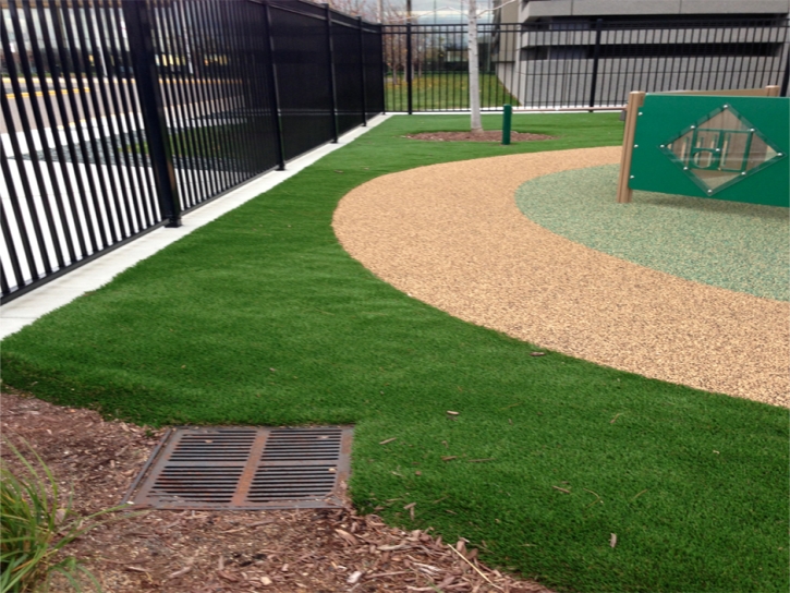 Grass Turf Bayview, California Gardeners, Commercial Landscape