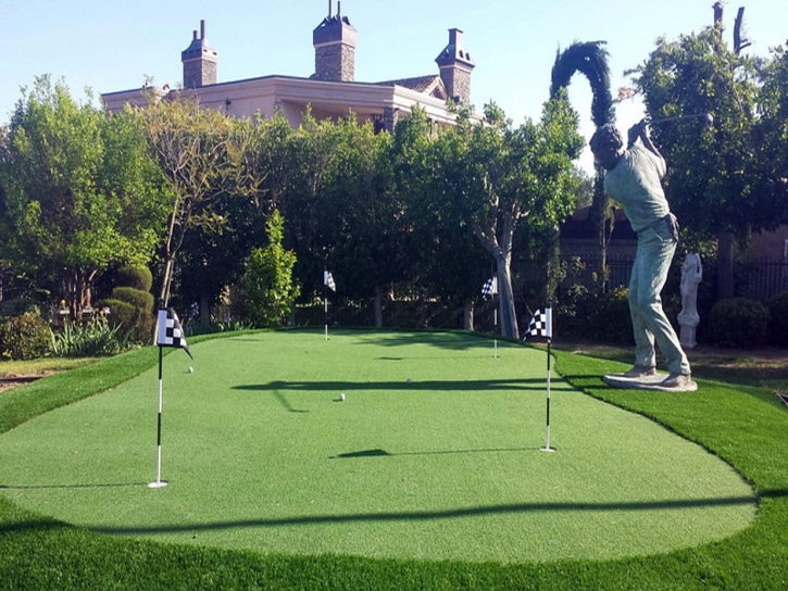 Grass Turf Camino, California How To Build A Putting Green, Small Backyard Ideas