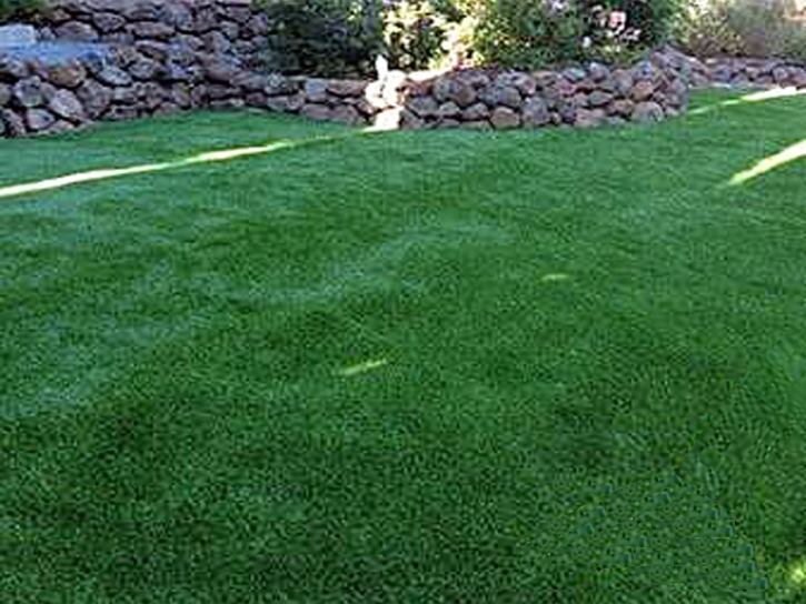 Grass Turf Livingston, California Fake Grass For Dogs, Backyard Design