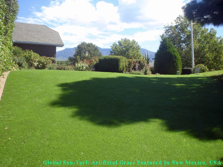 Grass Turf Orinda, California Rooftop, Beautiful Backyards